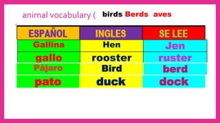 Duck Ruster animales ingles aves , insectos, todo en inglés.pptx