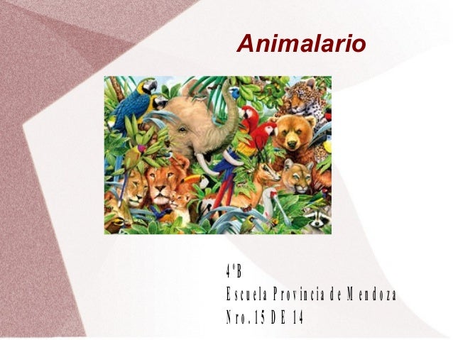 Animalario 4ºb