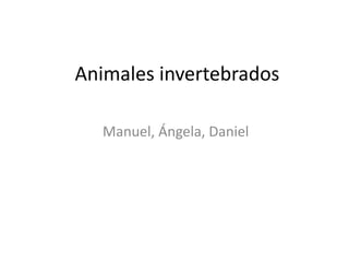Animales invertebrados
Manuel, Ángela, Daniel
 