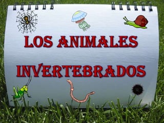 LOS ANIMALES  INVERTEBRADOS 