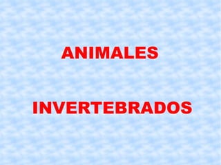 ANIMALES INVERTEBRADOS 