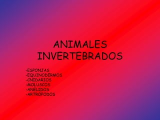ANIMALES
    INVERTEBRADOS
-ESPONJAS
-EQUINODERMOS
-CNIDARIOS
-MOLUSCOS
-ANELIDOS
-ARTRÓPODOS
 