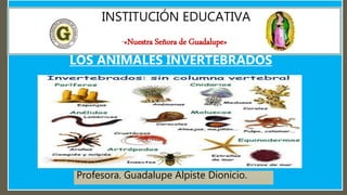 INSTITUCIÓN EDUCATIVA
“«Nuestra Señora de Guadalupe»
Profesora. Guadalupe Alpiste Dionicio.
LOS ANIMALES INVERTEBRADOS
 