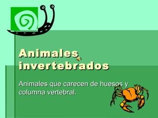 AnimalesAnimales
invertebradosinvertebrados
Animales que carecen de huesos yAnimales que carecen de huesos y
columna vertebral.columna vertebral.
 