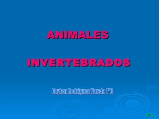 ANIMALES INVERTEBRADOS Daylen Rodriguez Varela 1ºB 