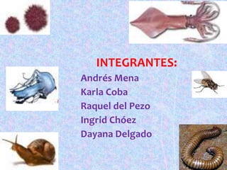 INTEGRANTES:
Andrés Mena
Karla Coba
Raquel del Pezo
Ingrid Chóez
Dayana Delgado
 