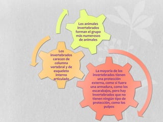 Los animales
                  invertebrados
                 forman el grupo
                 más numerosos
                   de animales


      Los
invertebrados
  carecen de
   columna
vertebral y de
  esqueleto                  La mayoría de los
    interno                invertebrados tienen
  articulado                  una protección
                          externa, como si fuera
                         una armadura, como los
                          escarabajos, pero hay
                          invertebrados que no
                          tienen ningún tipo de
                           protección, como los
                                  pulpos
 