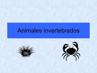 Animales invertebrados 