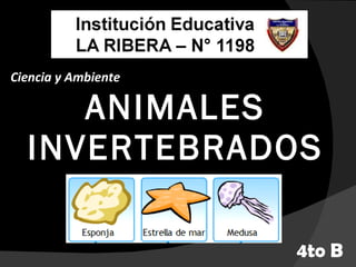 ANIMALES INVERTEBRADOS Ciencia y Ambiente 4to B 