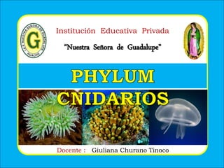 Institución Educativa Privada
“Nuestra Señora de Guadalupe”
Docente : Giuliana Churano Tinoco
 