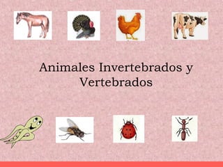 Animales Invertebrados y 
Vertebrados 
 