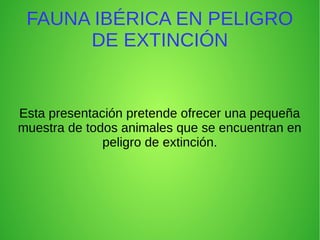 FAUNA IBÉRICA EN PELIGRO
DE EXTINCIÓN
Esta presentación pretende ofrecer una pequeña
muestra de todos animales que se encuentran en
peligro de extinción.
 