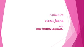 Animales
cerezo Juana
x-k
 