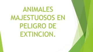 ANIMALES
MAJESTUOSOS EN
PELIGRO DE
EXTINCION.
 