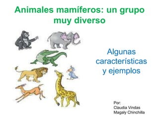 Animales mamíferos: un grupo muy diverso Algunas características y ejemplos Por: Claudia Vindas Magaly Chinchilla 