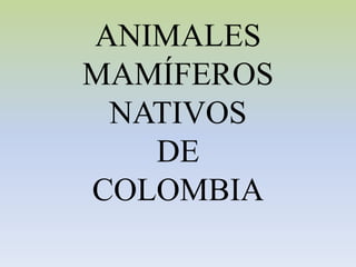 ANIMALES
MAMÍFEROS
NATIVOS
DE
COLOMBIA
 