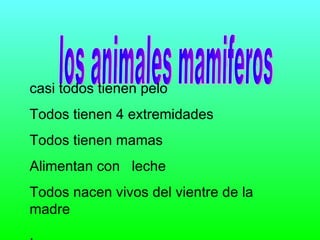 los animales mamiferos casi todos tienen pelo Todos tienen 4 extremidades Todos tienen mamas Alimentan con  leche Todos nacen vivos del vientre de la madre . l 