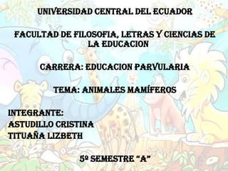 UNIVERSIDAD CENTRAL DEL ECUADOR

 FACULTAD DE FILOSOFIA, LETRAS Y CIENCIAS DE
                LA EDUCACION

      CARRERA: EDUCACION PARVULARIA

         TEMA: ANIMALES MAMÍFEROS

INTEGRANTE:
ASTUDILLO CRISTINA
TITUAÑA LIZBETH

              5º SEMESTRE “A”
 
