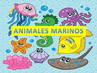 Animales marinos