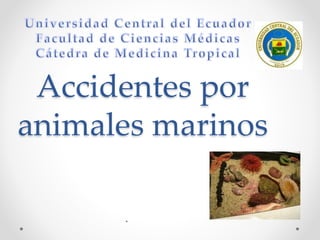 Accidentes por
animales marinos
.
 