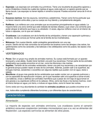  Esponjas: Las esponjas son animales muy primitivos. Tiene una recubierta de pequeños agüeros y
poros inhalantes a través los cuales les ingresa el agua y esta sale por un agüero grande que se
llama ósculo. Las esponjas no tienen tejidos ni simetría corporal. Puedes encontrar cerca de 9 mil en
el agua.

 Gusanos marinos: Son los equiuros, nemertinos y platelmintos. Tienen como forma particular que
no tienen relación entre ellos y que su cuerpo es muy blando y completamente alargado.

 Rotíferos: Los rotíferos son unos animales que se encuentran principalmente en agua salada. La
mayoría tiene una zona ventral que está rodeada de bandas ciliadas y que crean una corriente para
poder atrapar el alimento que haya a su alrededor. A veces, algunos rotíferos viven en el interior de
tubos o cápsulas, con lo que son sésiles.

 Crustáceos: Los crustáceos son de la familia de los artrópodos y tienen una caparazón quitinosa y
calcáreo. Se les conoce por formar parte de la familia de los invertebrados.

 Moluscos: Con cuerpo blando, están protegidos generalmente con una cap
 arazón. Dentro de los más conocidos se encuentran los bivalvos como las almejas o las ostras, los
gasterópodos como los caracoles y las babosas o los cefalópodos como los pulpos, las sepias o los
calamares.

VERTEBRADOS
 Peces: Son un grupo muy amplio de animales marinos. Su cuerpo está formado por un aparato
branquial y unas aletas. Suelen tener también una piel muy escamosa. Forman parte de los animales
vertebrados que puedes encontrar en el mar, como los tiburones o las mantas.
 Reptiles: También de los animales vertebrados, tienen una piel muy escamosa y se caracterizan por
lo general porque pueden reptar al resto de los animales. Además, pueden salir a la superficie, las
tortugas marinas, serpientes o cocodrilos son algunas reptiles que pueden vivir en agua, dulce o
salada.
 Mamíferos: el grupo mas grande de los vertebrados que suelen contar con un aparato pulmonar y
con la capacidad de reproducción vivípara, por lo que necesitan salir a la superficie a tomar el aire.
Las ballenas, orcas o delfines son animales mamíferos que a pesar de vivir bajo el agua toman el
aire gracias a su espiráculo (orificio en la cabeza). Otros, como las focas o los leones marinos, viven
al mismo tiempo en agua y en tierra, e incluso en agua dulce, como lo hacen las nutrias.
Como verás son muy abundantes la cantidad de animales acuáticos que puedes encontrar en el
mar, todos ellos cumpliendo diferentes funciones y con diferentes tipos de características.
Características
Alimentación
La mayoría de especies son animales omnívoros. Los crustáceos (como el camarón
antártico) consumen zooplancton (animales microscópicos) que a su vez se alimentan del
fitoplancton. Las especies carnívoras se alimentan de otros peces.
 