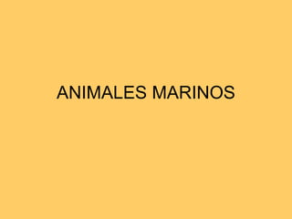 ANIMALES MARINOS
 