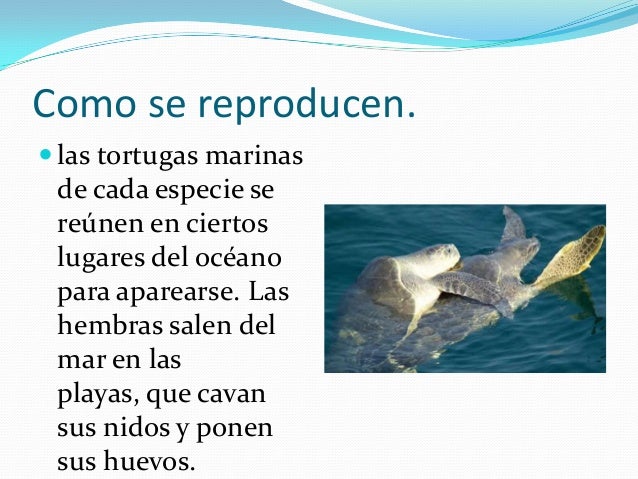 actitudes positivas en la escuela el origen del planeta delos simios online castellano