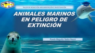 ANIMALES MARINOS
EN PELIGRO DE
EXTINCIÓN
Rueda Maguiña Yadira Naomi
TALLER DE REDACCIÓN ARGUMENTACIÓN E INVESTIGACIÓN
 