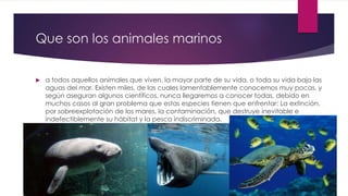 Que son los animales marinos
 a todos aquellos animales que viven, la mayor parte de su vida, o toda su vida bajo las
aguas del mar. Existen miles, de las cuales lamentablemente conocemos muy pocas, y
según aseguran algunos científicos, nunca llegaremos a conocer todas, debido en
muchos casos al gran problema que estas especies tienen que enfrentar: La extinción,
por sobreexplotación de los mares, la contaminación, que destruye inevitable e
indefectiblemente su hábitat y la pesca indiscriminada.
 