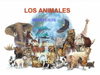 LOS ANIMALES
MAMÍFEROS
AVES
PECES
ANFIBIOS
REPTILES
INSECTOS

 