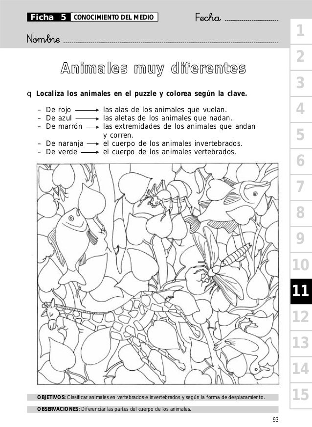 Animales Vertebrados E Invertebrados Para Colorear - páginas para colorear