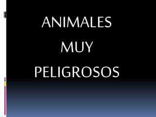 ANIMALES
MUY
PELIGROSOS
 