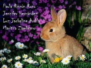 Paola Rincón RozoJennifer HernándezLuz Jackeline ArdilaMaritza Zambrano 