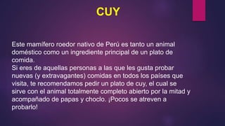 CUY
Este mamífero roedor nativo de Perú es tanto un animal
doméstico como un ingrediente principal de un plato de
comida.
Si eres de aquellas personas a las que les gusta probar
nuevas (y extravagantes) comidas en todos los países que
visita, te recomendamos pedir un plato de cuy, el cual se
sirve con el animal totalmente completo abierto por la mitad y
acompañado de papas y choclo. ¡Pocos se atreven a
probarlo!
 