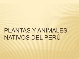 PLANTAS Y ANIMALES
NATIVOS DEL PERÚ
 