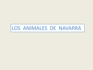 LOS ANIMALES DE NAVARRA