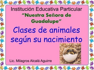 Institución Educativa Particular
“Nuestra Señora de
Guadalupe”
Clases de animales
según su nacimiento
Lic. Milagros Alcalá Aguirre
 