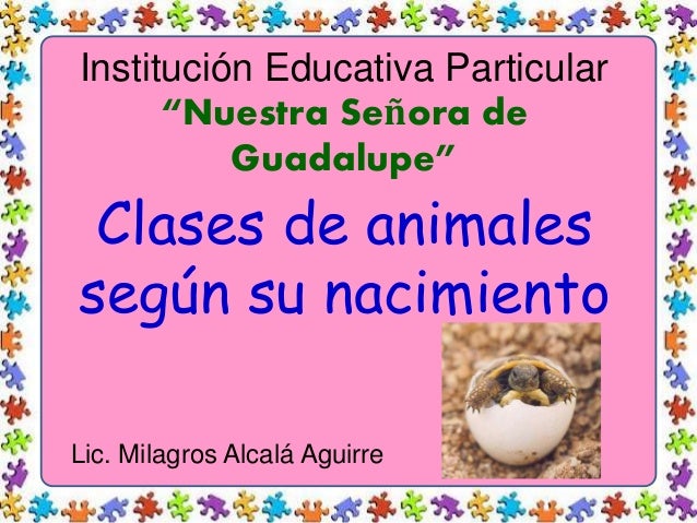 Clases De Animales Según Su Nacimiento