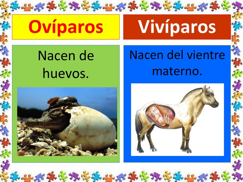 Clases de animales según su nacimiento