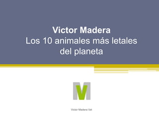 Victor Madera
Los 10 animales más letales
del planeta
Victor Madera Vet
 