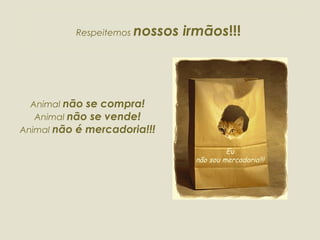 Animal  não se compra! Animal  não se vende! Animal  não é mercadoria!!! Eu não sou mercadoria!!! Respeitemos  nossos irmãos !!! 