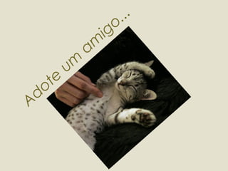 Adote um amigo... 