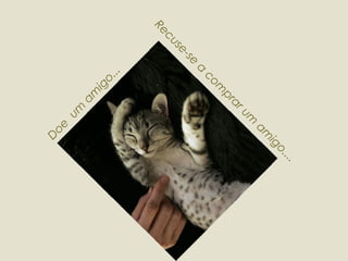 Recuse-se a comprar um amigo.... Doe  um amigo... 