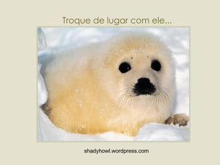 shadyhowl.wordpress.com  Troque de lugar com ele... 