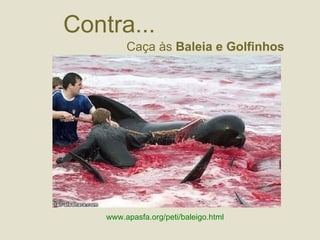 Contra...    www.apasfa.org/peti/baleigo.html  Caça às  Baleia e Golfinhos 