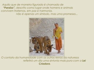 Aquilo que de maneira figurada é chamada de  “Paraíso”,  descrito como lugar onde homens e animais  convivem fraternos, em paz e harmonia,  não é apenas um símbolo, mas uma promessa... O contato da humanidade com os outros reinos da natureza  refletirá um dia uma sintonia mais pura com a  Lei Criadora . 
