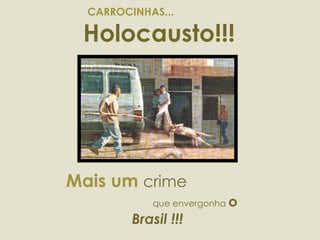 CARROCINHAS...  Holocausto!!! Mais um  crime  que envergonha  o  Brasil !!! 