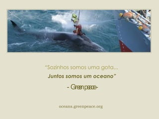 “ Sozinhos somos uma gota... Juntos somos um oceano”  - Green peace - oceans.greenpeace.org   