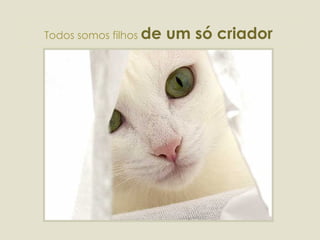 Todos somos filhos  de um só criador 