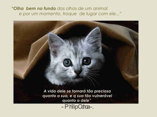 “ Olha  bem no fundo  dos olhos de um animal  e por um momento, troque  de lugar com ele...”  A vida dele se tornará tão preciosa quanto a sua, e a sua tão vulnerável quanto a dele”  - Philip Ochoa -. 